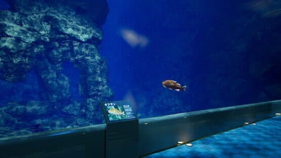 Aquarium at August 32nd — screenshot 5