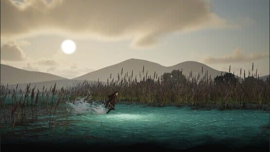 The Shadow of Swallow — screenshot 2