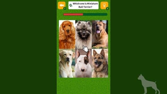 Dog Spotting Challenge! — screenshot 1