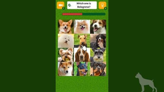 Dog Spotting Challenge! — screenshot 3