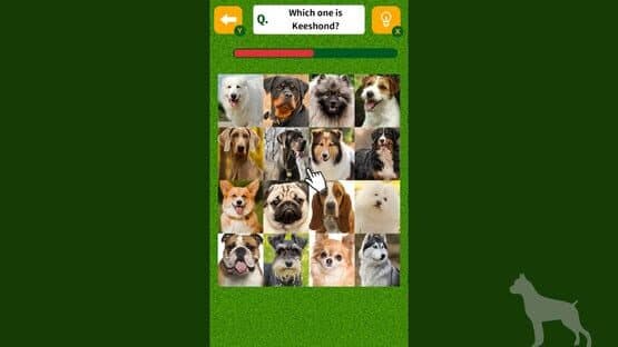 Dog Spotting Challenge! — screenshot 4