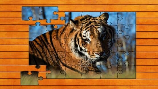 Big Cat Jigsaw Quest: Expansion Pack 2 — screenshot 3