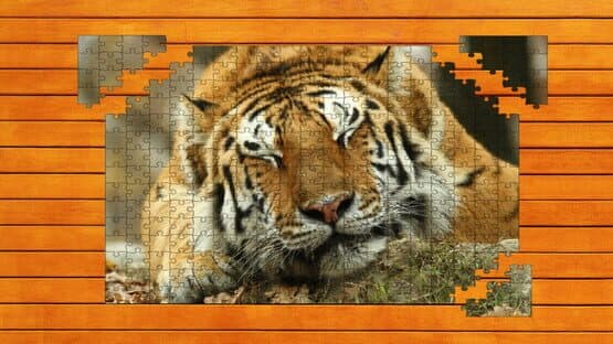 Big Cat Jigsaw Quest — screenshot 5