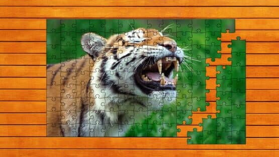 Big Cat Jigsaw Quest: Expansion Pack 2 — screenshot 5