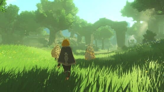 Hyrule Warriors: Age of Imprisonment — screenshot 4