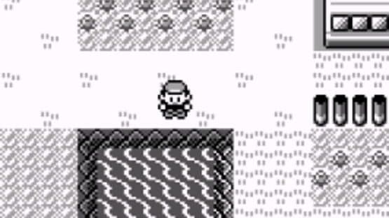 Pokémon: Professor Oak Challenge — screenshot 1