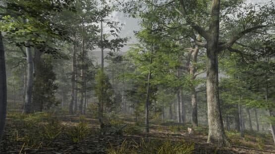 Deer Hunting Camp — screenshot 1