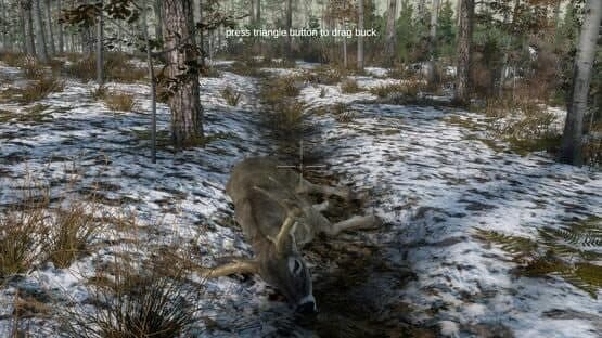 Deer Hunting Camp — screenshot 2