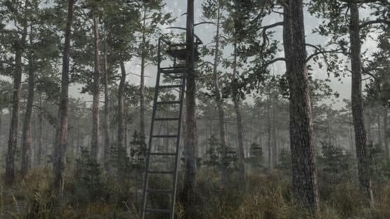 Deer Hunting Camp — screenshot 7