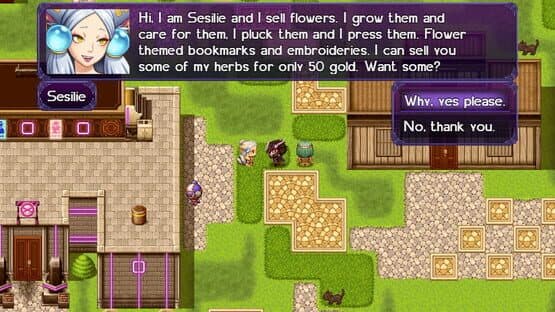 The Black Knight Chronicles: The Widow without Time — screenshot 2