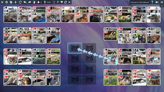 Free Solitaire: Cats — screenshot 8