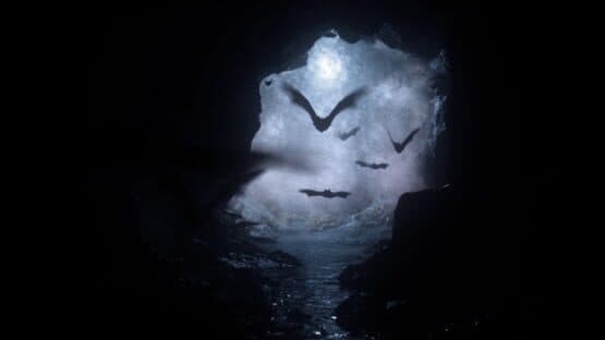 The Soul — screenshot 4