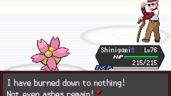Pokémon Radical Red — screenshot 2