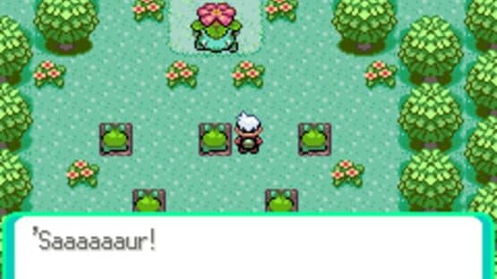 Pokémon Emerald Horizons — screenshot 2