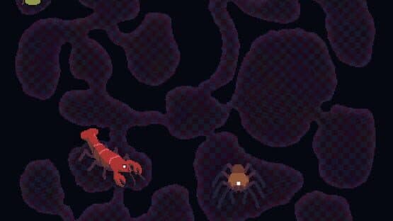 Shrew — screenshot 3