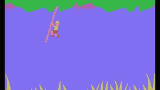 Jungle Hunt — screenshot 1