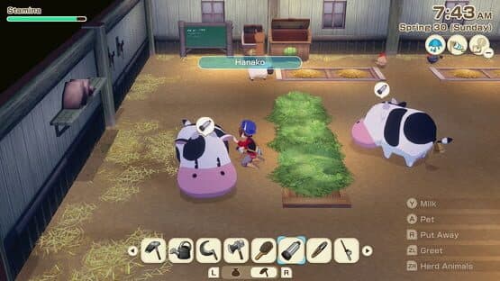 Story of Seasons: Grand Bazaar - Digital Deluxe Edition — screenshot 1