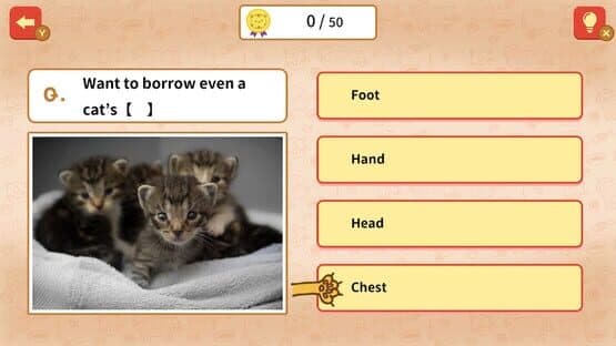 Quiz! Cat Proverbs Around the World — screenshot 1