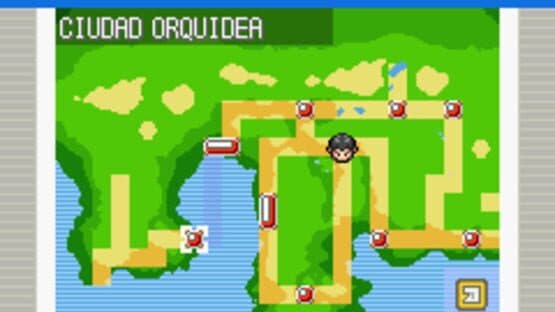 Pokémon Rocket Edition — screenshot 4