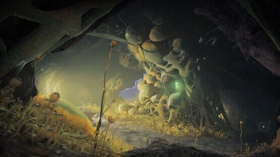 Destiny 2: The Edge of Fate — screenshot 3