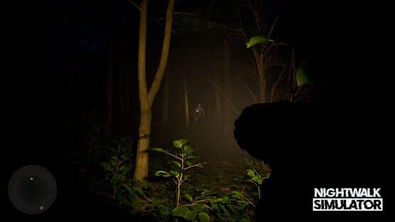 Nightwalk Simulator — screenshot 7
