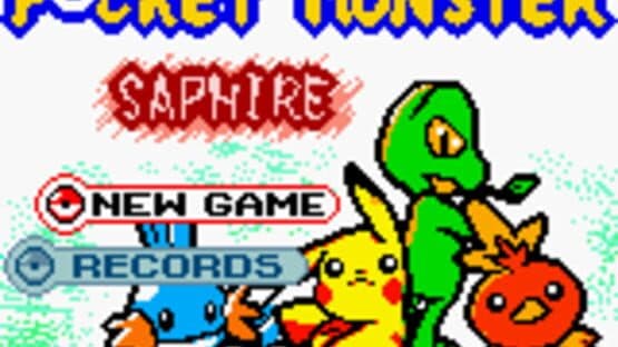 Pokémon Sapphire Version — screenshot 1