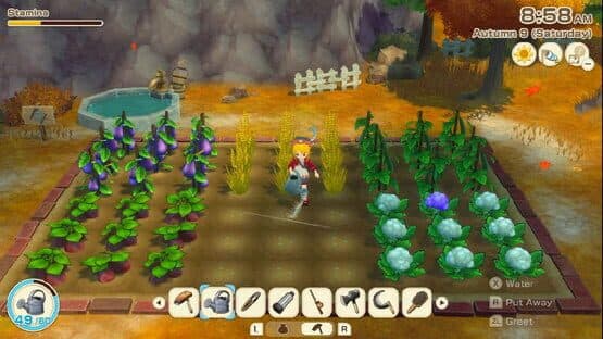 Story of Seasons: Grand Bazaar - Super Digital Deluxe Edition — screenshot 2