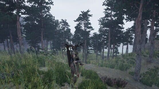 Wilderness Edge — screenshot 3