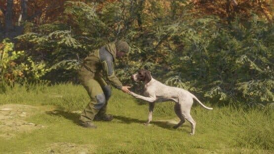 TheHunter: Call of the Wild - German Shorthaired Pointer — screenshot 3