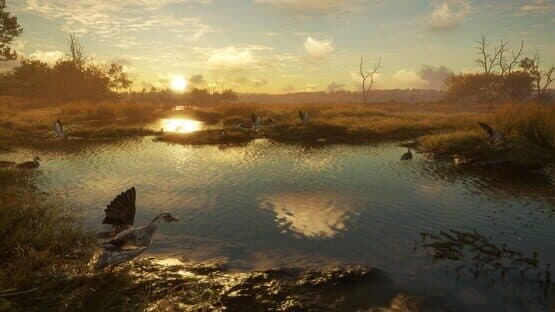 TheHunter: Call of the Wild - Salzwiesen Park — screenshot 2