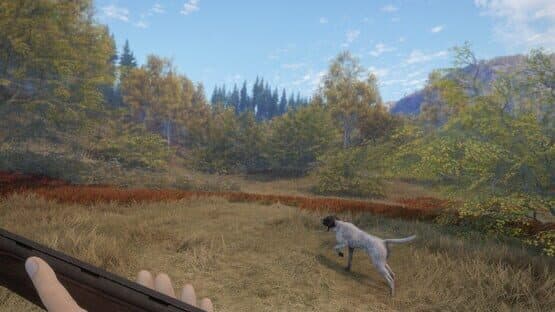 TheHunter: Call of the Wild - German Shorthaired Pointer — screenshot 4