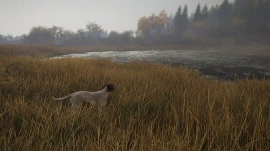 TheHunter: Call of the Wild - German Shorthaired Pointer — screenshot 5