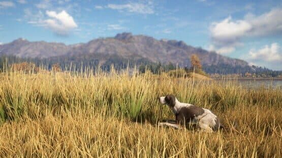 TheHunter: Call of the Wild - German Shorthaired Pointer — screenshot 6
