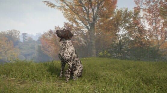 TheHunter: Call of the Wild - German Shorthaired Pointer — screenshot 7