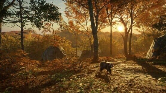 TheHunter: Call of the Wild - Salzwiesen Park — screenshot 6