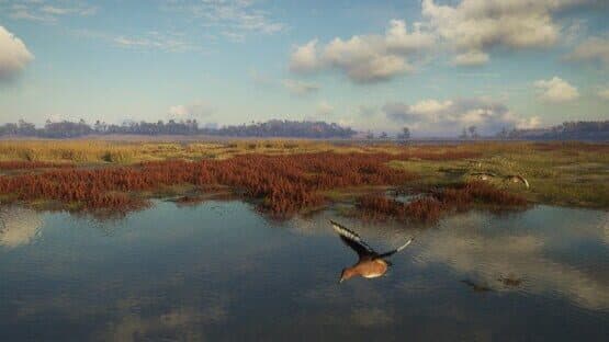 TheHunter: Call of the Wild - Salzwiesen Park — screenshot 8