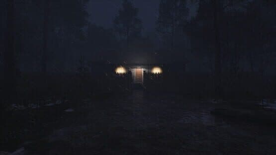 Light in the Woods — screenshot 1