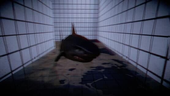 Tralalero Tralala Backrooms Pools — screenshot 4