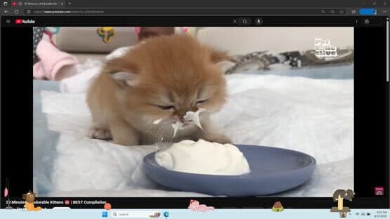 Digital Desktop Cats — screenshot 2