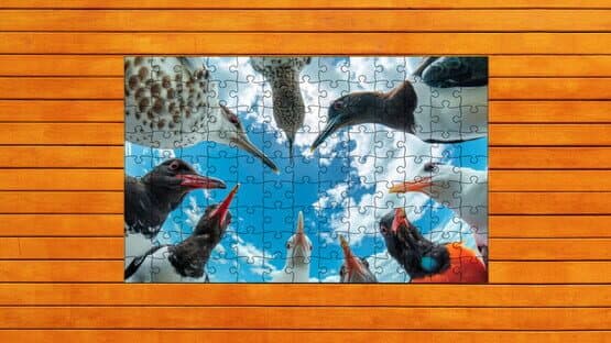 Whispers of Wings Jigsaw Puzzles — screenshot 2