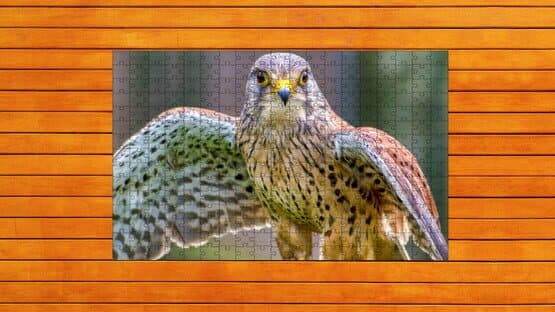 Whispers of Wings Jigsaw Puzzles — screenshot 4