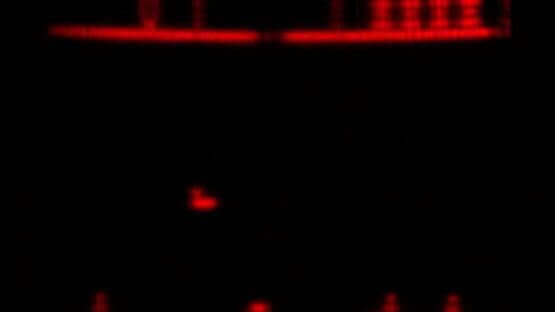 Defender — screenshot 1
