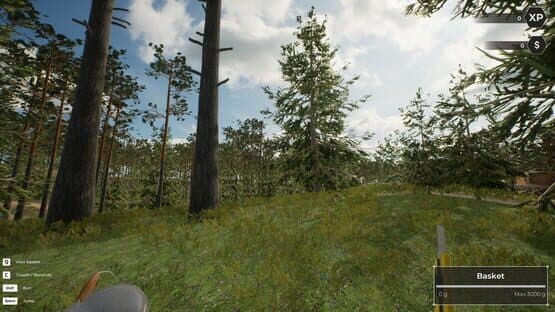 Mushroom Hunter World — screenshot 1