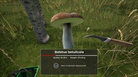 Mushroom Hunter World — screenshot 2