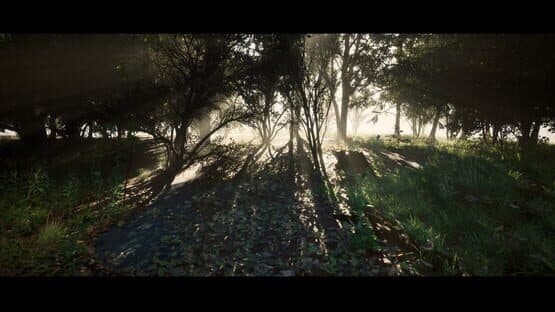 Nietzsche's Shadow — screenshot 3