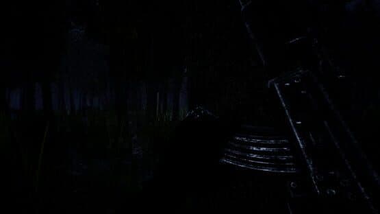 Forest — screenshot 1