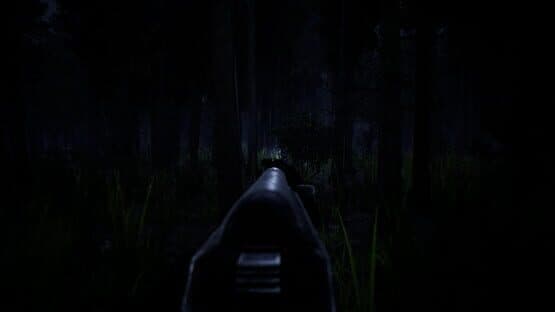 Forest — screenshot 2