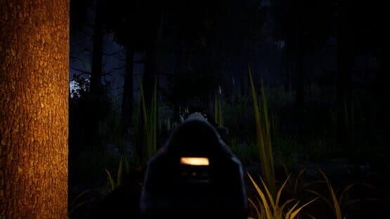 Forest — screenshot 5