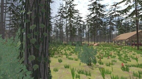 Forest Construction VR — screenshot 1