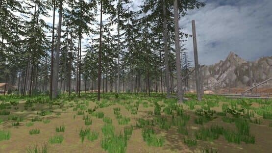 Forest Construction VR — screenshot 5